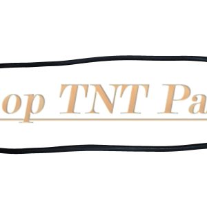 New 1965 Dodge Coronet Rear Window Seal